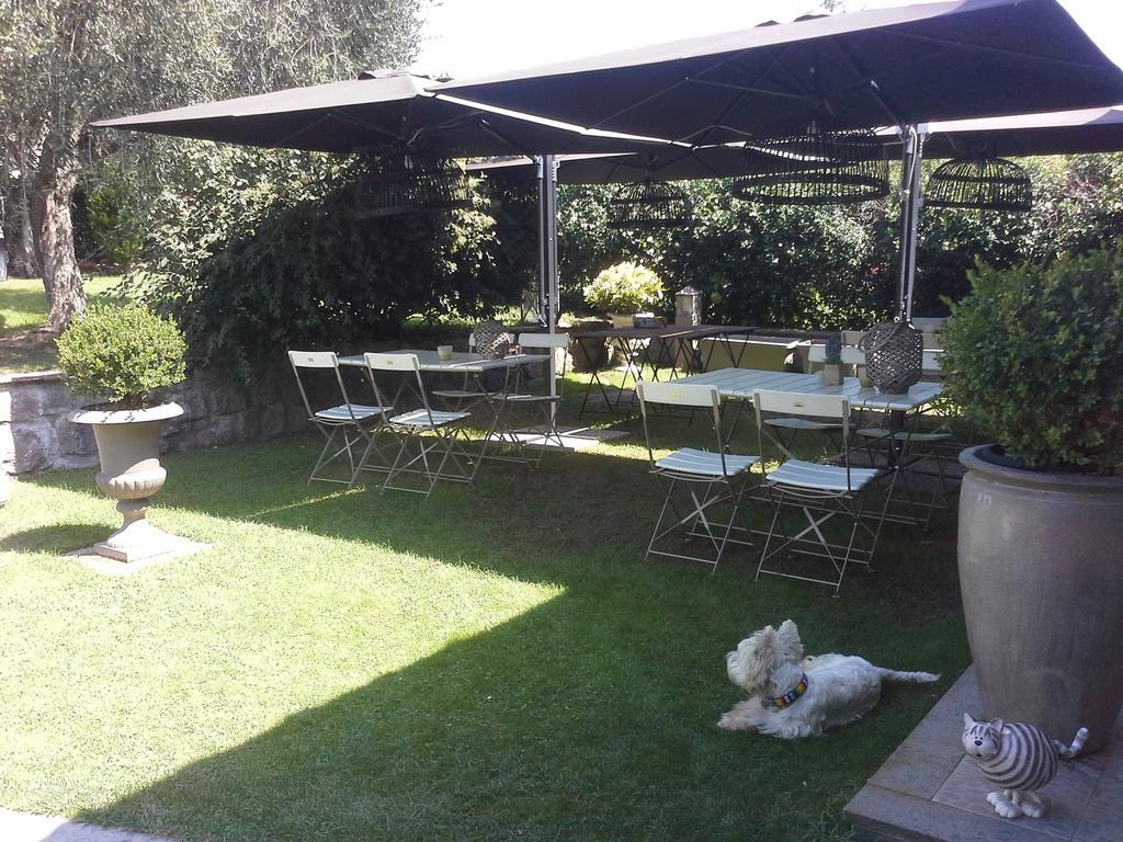 Residenza Teodorico Re B&B Viterbo Exterior foto