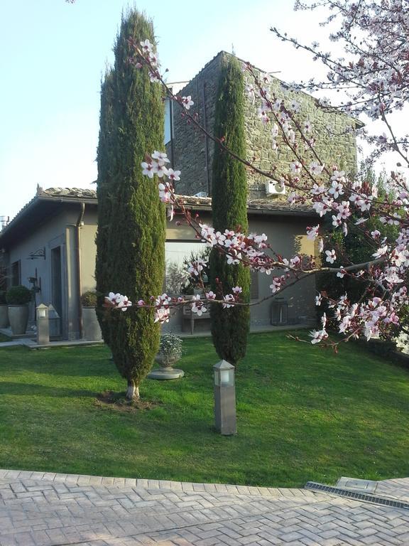 Residenza Teodorico Re B&B Viterbo Exterior foto